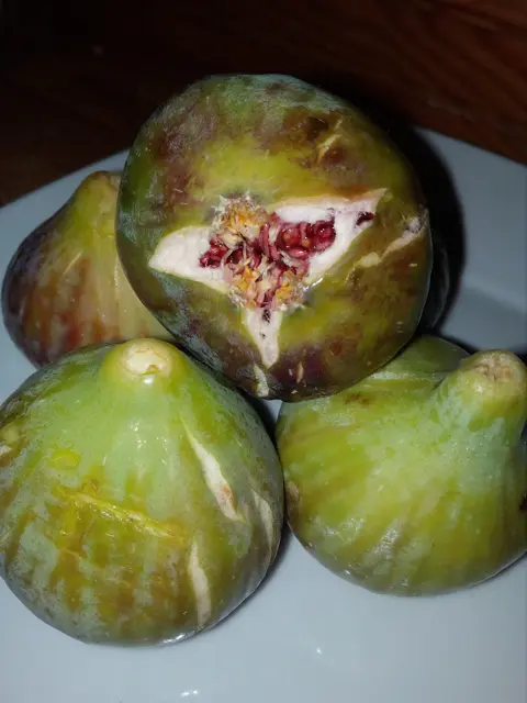 A plate of ripe green-purple figs, one split open